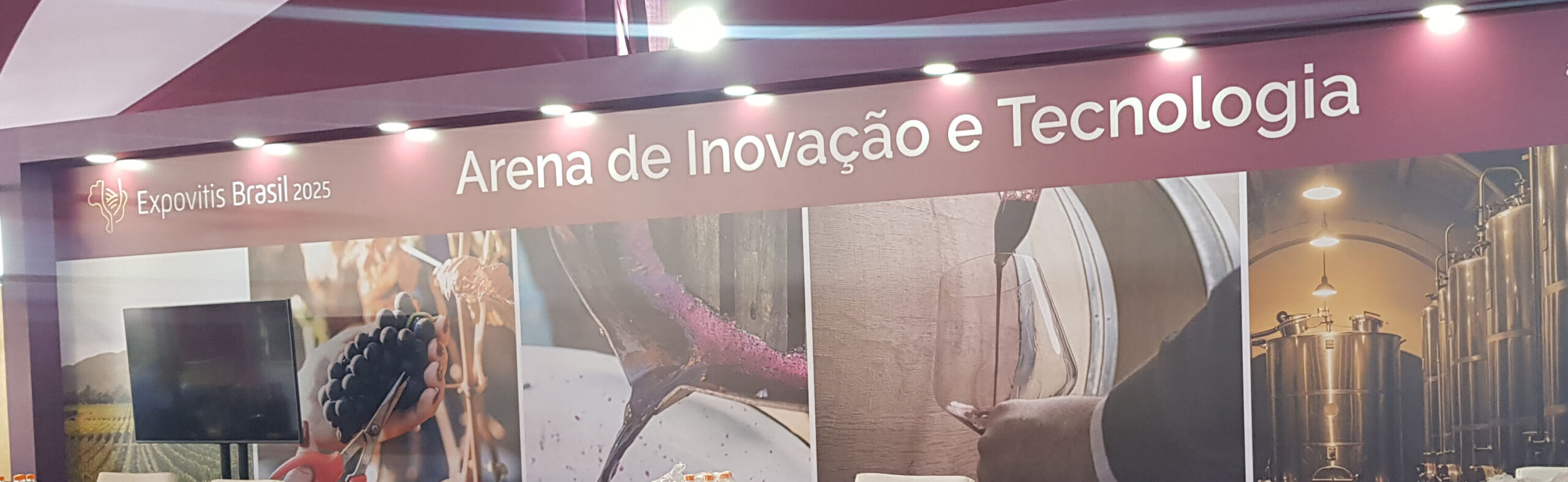 banner-site-startups